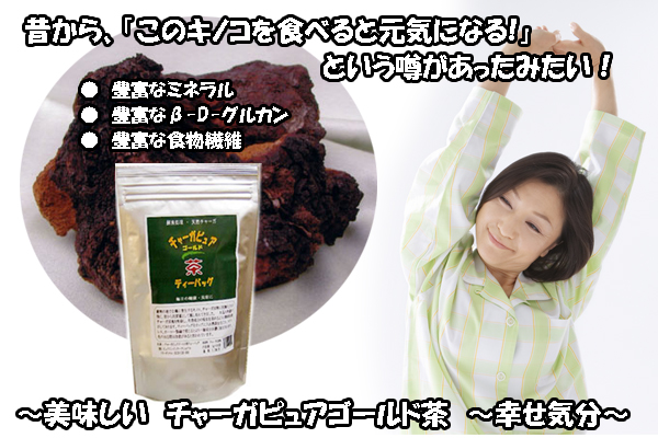 天然チャーガ100%チャーガピュアゴールド茶