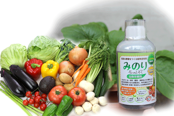 元気な野菜をつくる『みのり』植物活性剤は「石のしずく」家庭菜園用