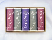 昔ようかん（中） 小豆×2と抹茶×2と白 五本詰【八頭司伝吉本舗】小城羊羹 300g×5本