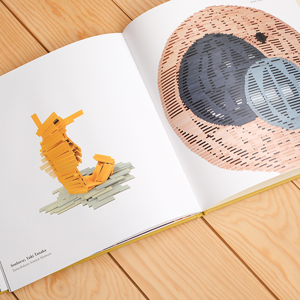 KAPLAアートブック〈THE BEST OF KAPLA〉