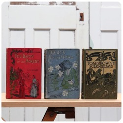 イギリス アンティーク ブック 3冊セット/古本/古書/洋書/インテリア雑貨/書籍/ディスプレイ/オブジェ【Feats on the Fiord】Z-330