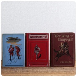 イギリス アンティーク ブック 3冊セット/古本/古書/洋書/インテリア雑貨/書籍/ディスプレイ【Westward Ho!】Z-360