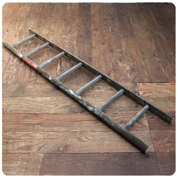 イギリス アンティーク ラダー はしご 古木 梯子 ディスプレイ 店舗什器 「オールドパイン」P-924