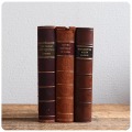 イギリス アンティークブック3冊セット/書籍/インテリア雑貨/ウェストミンスター寺院/レザー【westminster abbey stanley】T-763