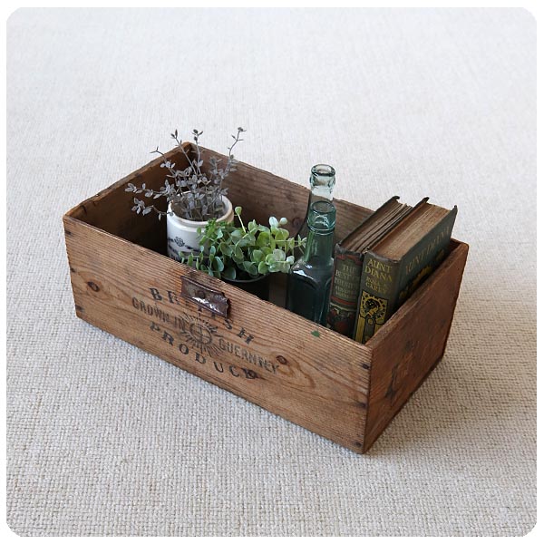 イギリス アンティーク オールドパインボックス/木箱/収納/店舗什器/ディスプレイ/雑貨【GROWN IN GUERNSEY】T-703