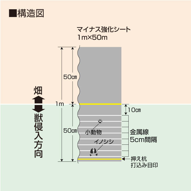 マイナス強化1m