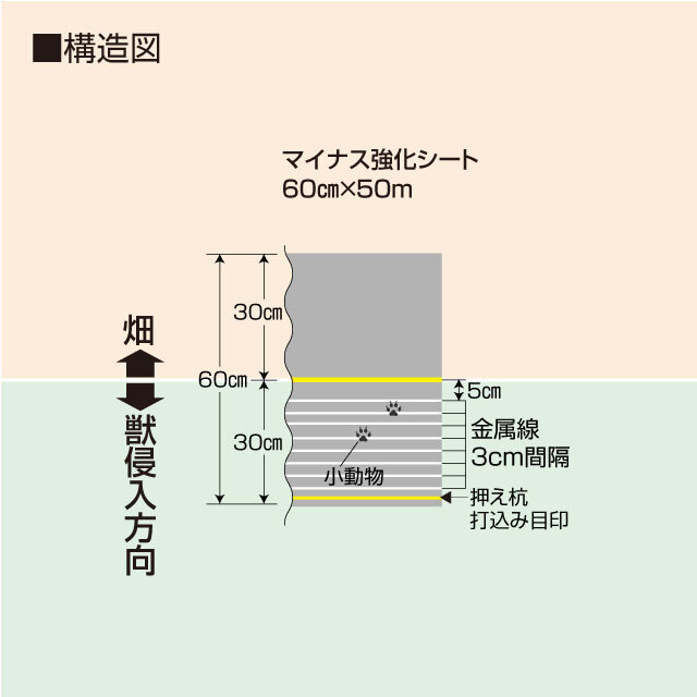 マイナス強化60cm