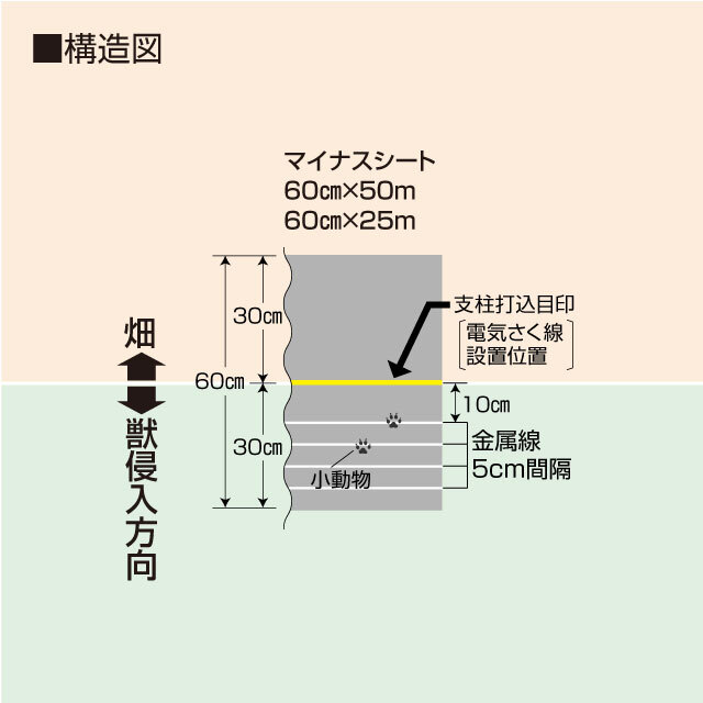 マイナス60cm