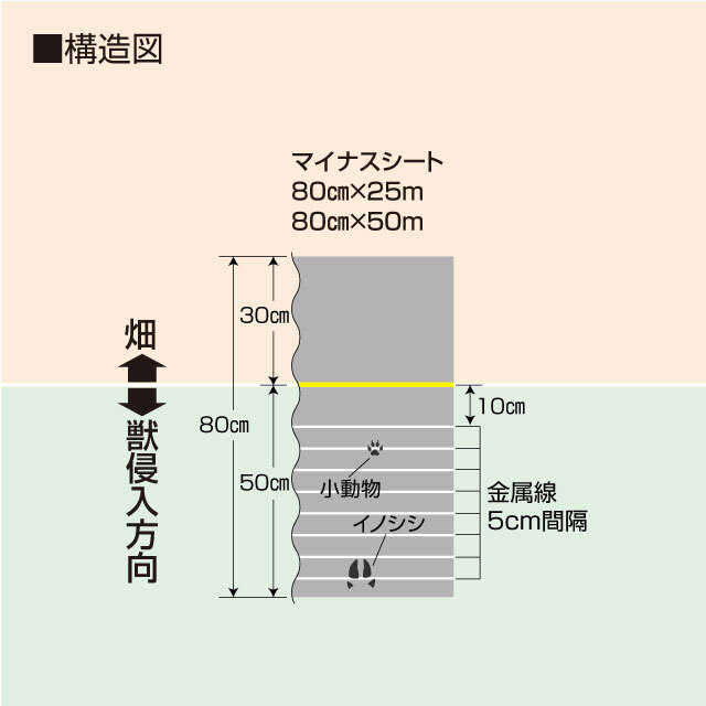 マイナス80cm
