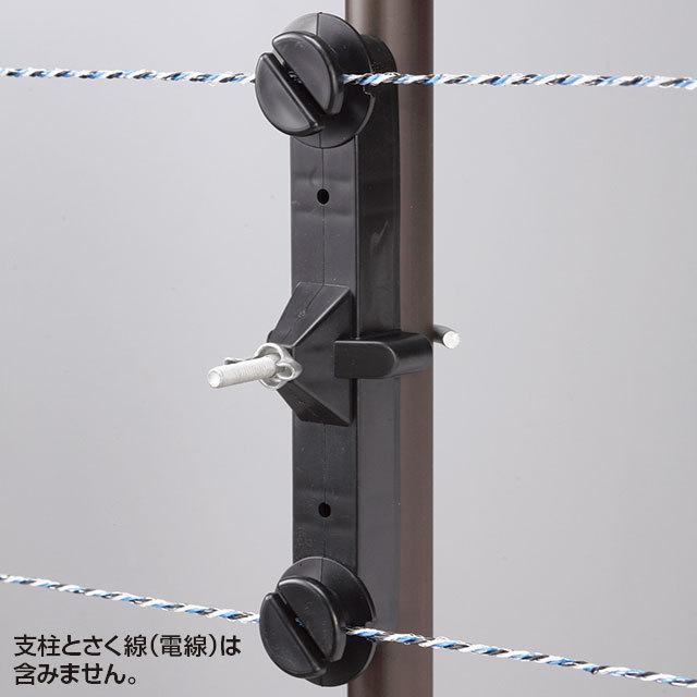 Wガイシ大