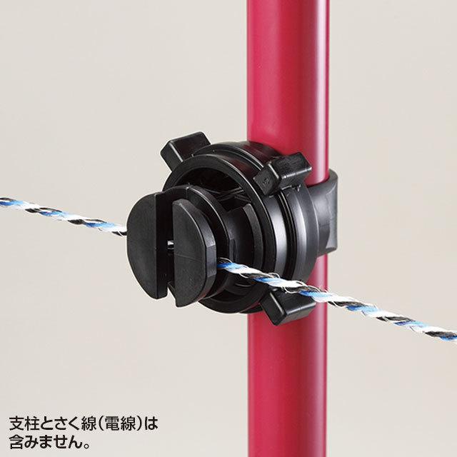 Pガイシ