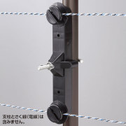 Wガイシ大