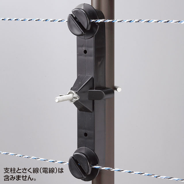 Wガイシ大