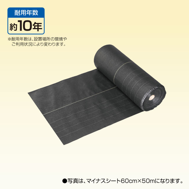 マイナス強化60cm