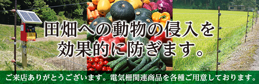 ゲッターショップ