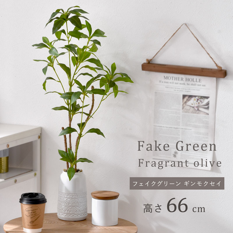 フェイクグリーン ギンモクセイ 66cm セラミックポット