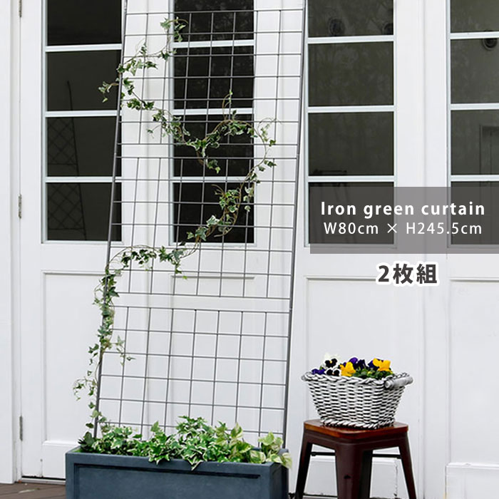 アイアン製グリーンカーテン グラフ 2枚組