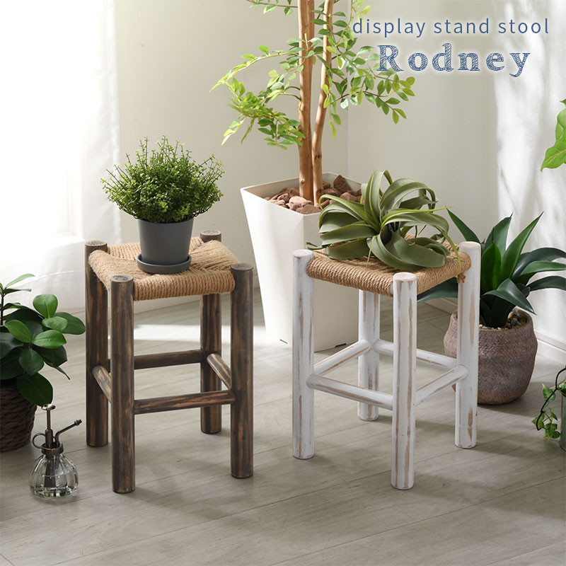 ディスプレイスタンド スツール ロドニー