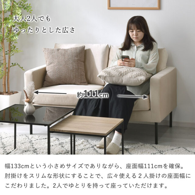 ベロア スチールレッグ 2人掛け ソファ ティーリー 【00-100095