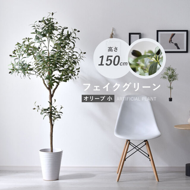 未使用 オリーブグリーン タープ・シェード本体 楽天市場】グリーン（タープ｜テント・タープ）：アウトドア