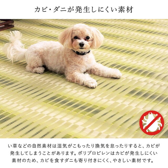 洗える ござ 日本製 国産 カーペット 江戸間8畳（約348×352cm） 【45