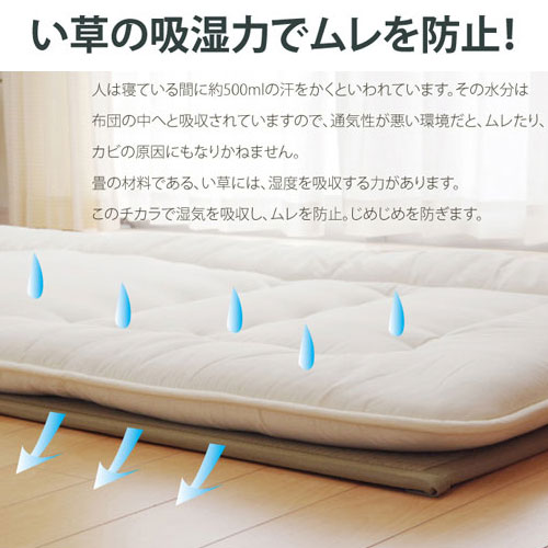 純国産い草マットレス 三つ折タイプ セミダブル （約）120×210cm 【45