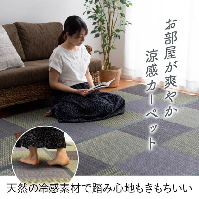 い草ラグ 花ござ カーペット ラグ 6畳 格子柄 市松柄 江戸間6畳（約261