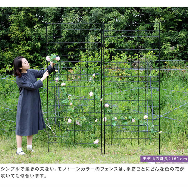 格子型アイアンフェンス 高さ226cm グラフ 2枚組 【46-100022】｜激安