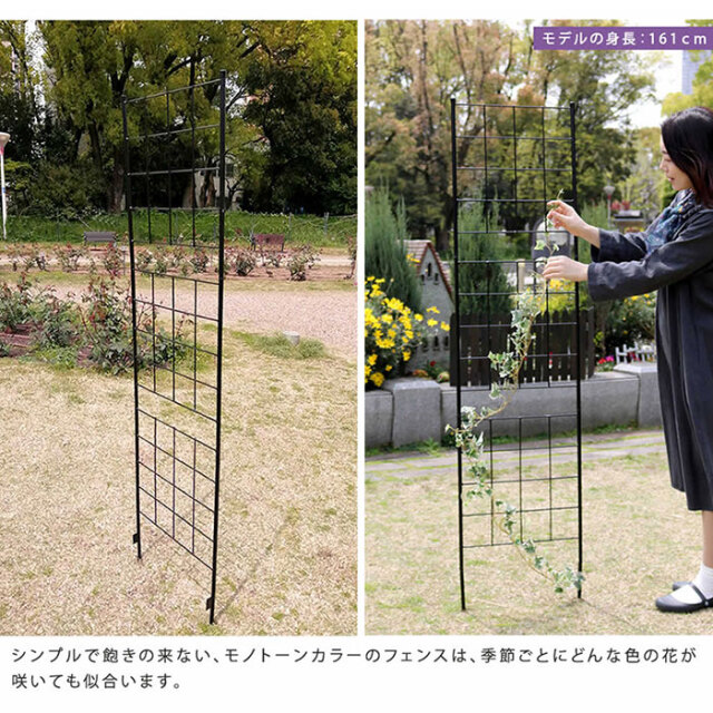 格子型アイアンフェンス 高さ176cm グラフ スリムタイプ 4枚組 46 激安アウトレット家具通販ワイエムワールド