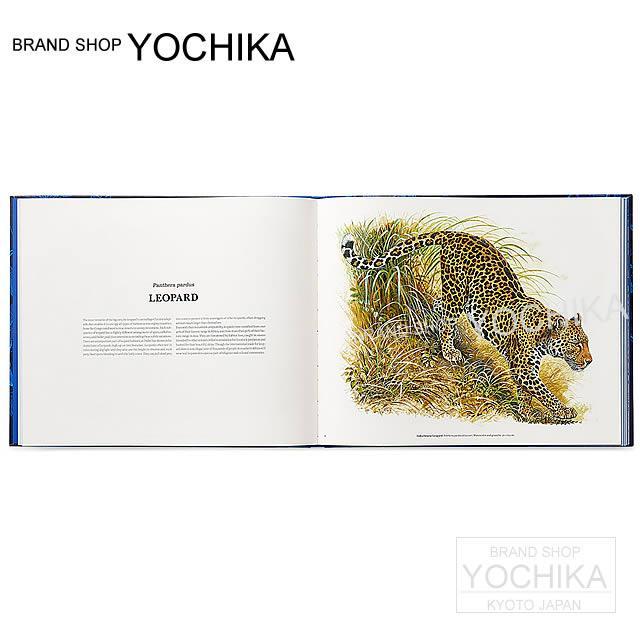 16春夏 限定 Hermes エルメス 本 イラストレーションブック ロベール ダレのアトリエ 116p 新品