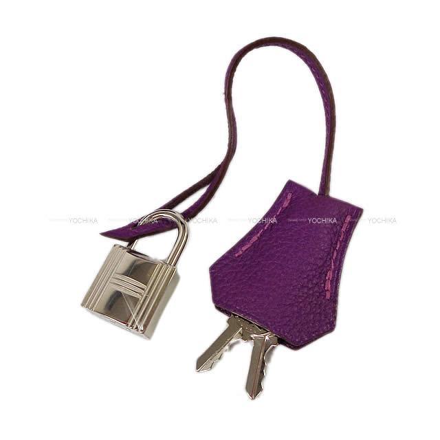 HERMES エルメス ハンドバッグ バーキン25 スペシャルオーダー アネモネ トゴ シルバー金具 新品