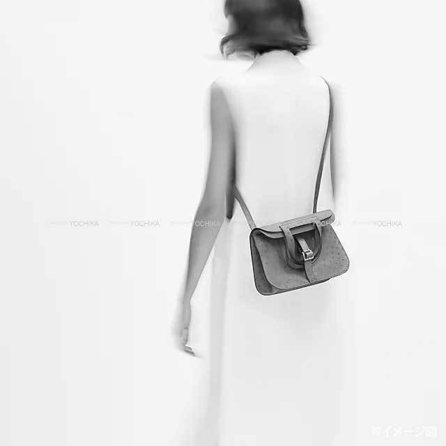 HERMES エルメス ショルダーバッグ アルザン25 エトープ (エトゥープ