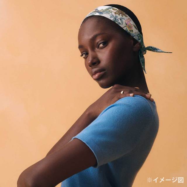 2026年春夏 HERMES エルメス スカーフ ツイリー 赤道直下 グリスパール