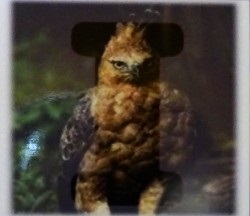 インドネシア 『オナンガンジャン』 フレンチロースト=深煎り ２００ｇ