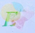 エチオピア 『イルガチェフェ・ゲレナ・アバヤ・ナチュラル』　フルシティロースト=中深煎り　２００ｇ