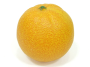 フェイクフルーツみかん