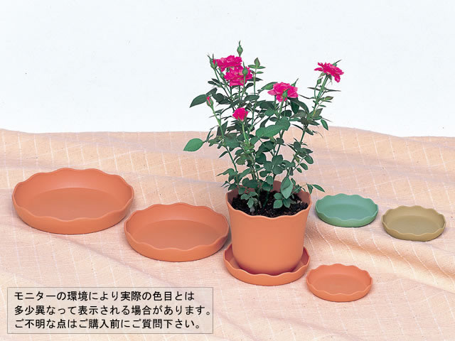 ノーブルプレート５号