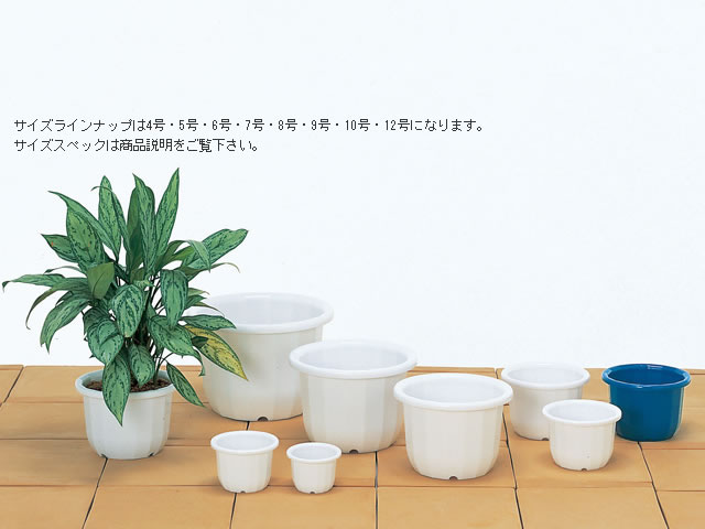 中輪鉢 5号　5個組