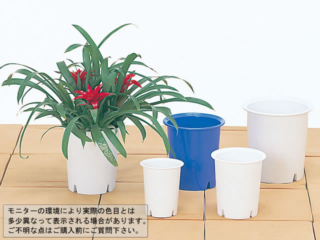 長鉢マイルドポット５号　ホワイト