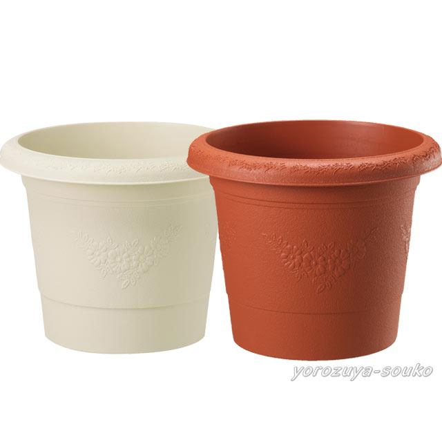 グレイスポット