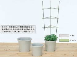菜園鉢１０号