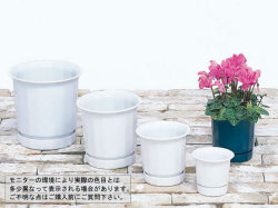 インテリアポット６号