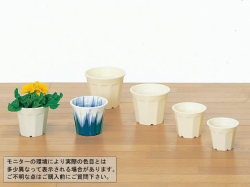 花鉢６号 10個セット