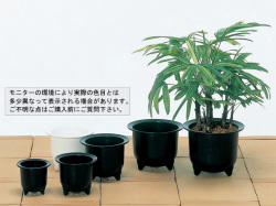 観音鉢５号　黒