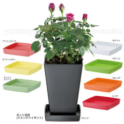 クエンチプレート4号