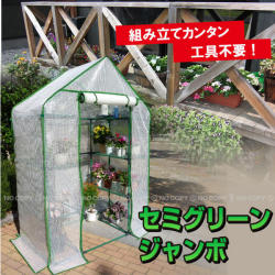 セミグリーンジャンボ[GK7810]