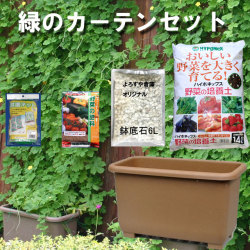 eco&ecoウインプランター深５５型緑のカーテンセット