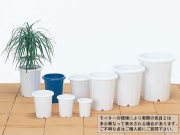長鉢Ｌ５号