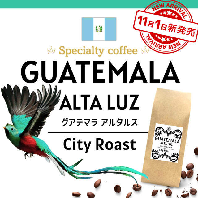 グアテマラ 豆 250g 新発売