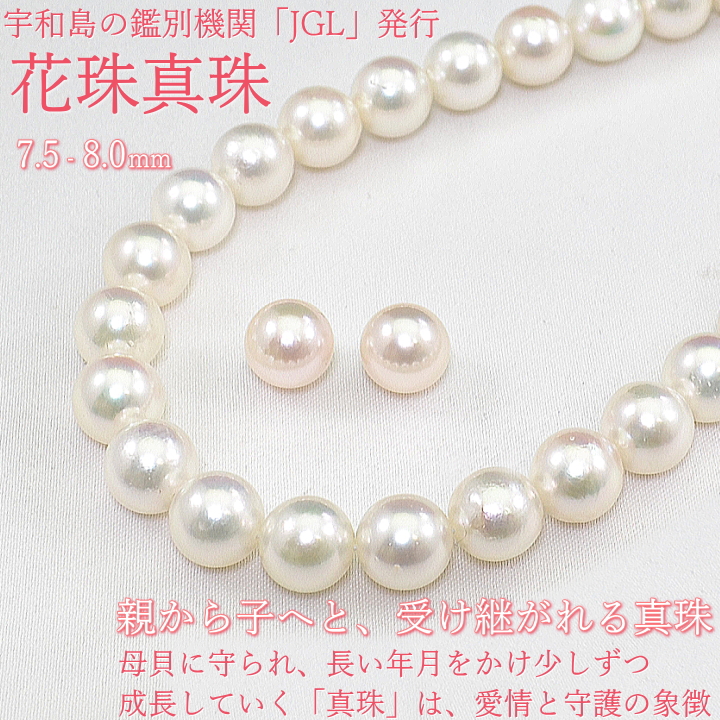 【限定1本】7.5-8ミリ　アコヤ花珠真珠 パールネックレスセット 宇和島の鑑別機関「JGL」発行 花珠パールセット K14WGねじ式イヤリングかK14ピアスが選べる【8mm】【送料無料】【桐箱ケース付き】